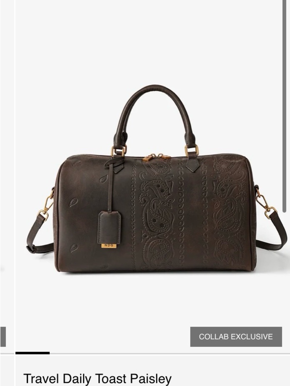 NDG ParisTravel Daily Toast Paisley Bag